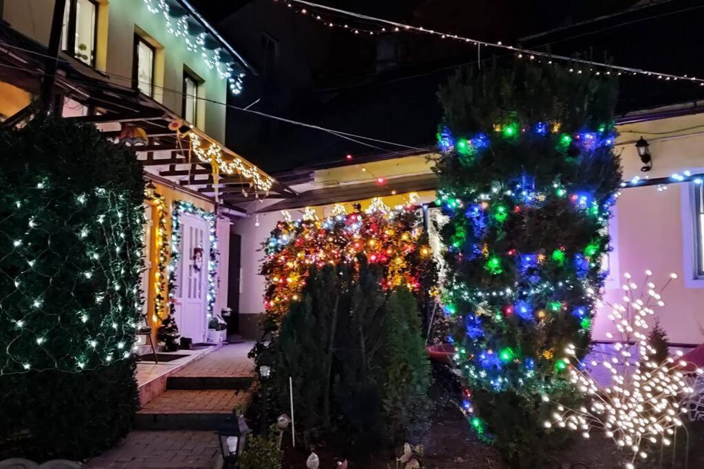 Color Home Hermannstadt 1 Ngoại thất bức ảnh