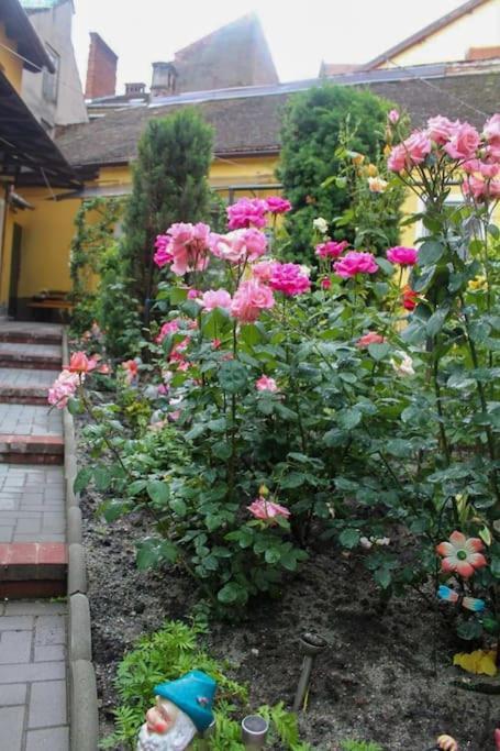 Color Home Hermannstadt 1 Ngoại thất bức ảnh